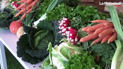 Le Grand Forum de la Santé a livré ses conseils pour bien manger