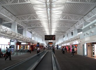 Bavuldan 200 Hamam Böceği Çıktı