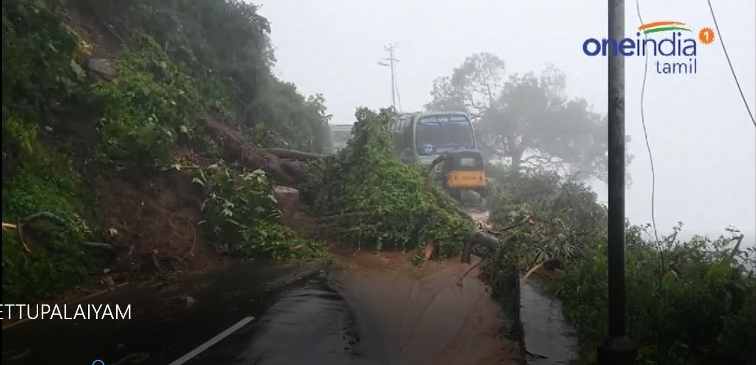 கனமழையால் ஊட்டி போக்குவரத்து நிறுத்தம்