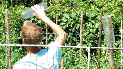 Simple tomato roof - DIY