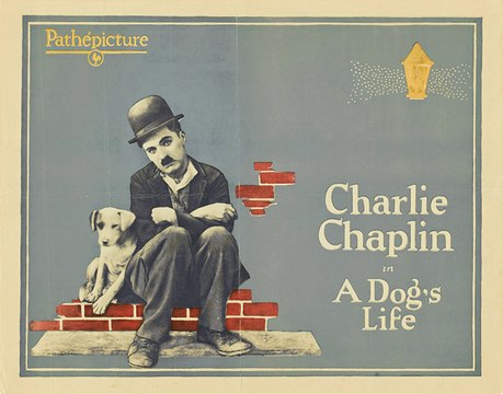 Bir Köpeğin Hayatı - A Dog's Life (1918) Türkçe Altyazılı izle - Charlie Chaplin