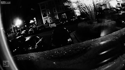 Tinkerbell caught on camera