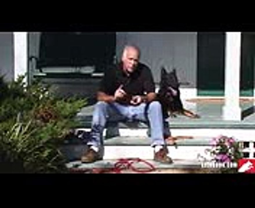 Remote Collar Training for the Pet Owner I DVD Trailer