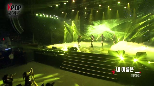 2017 Korea & Vietnam Friendship KPOP Concert [T-ARA - 내 이름은]