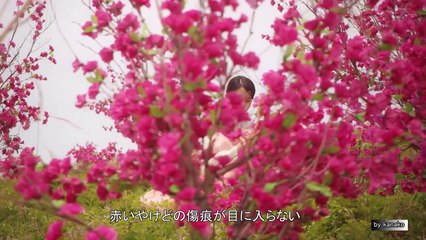 Catherineustp Videos Dailymotion