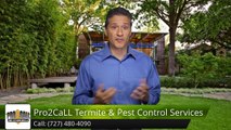 Termite & Pest Control Review Seminole FL Pro2CaLL Termite & Pest Control Service, LLC Seminole...