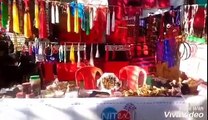 Trade Expo in nagaland by vika h naga
