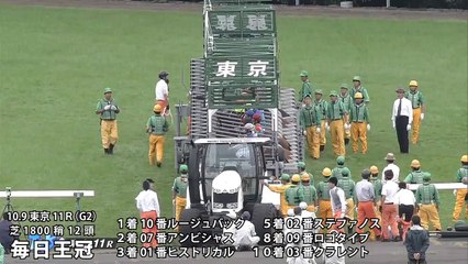 2016年 天皇賞・秋の参考レース映像