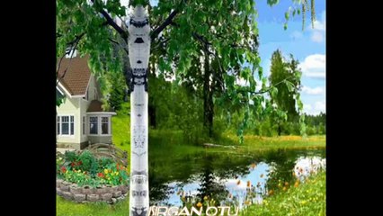 ISIRGAN OTU  Seslendiren Klip Aynur AVCI