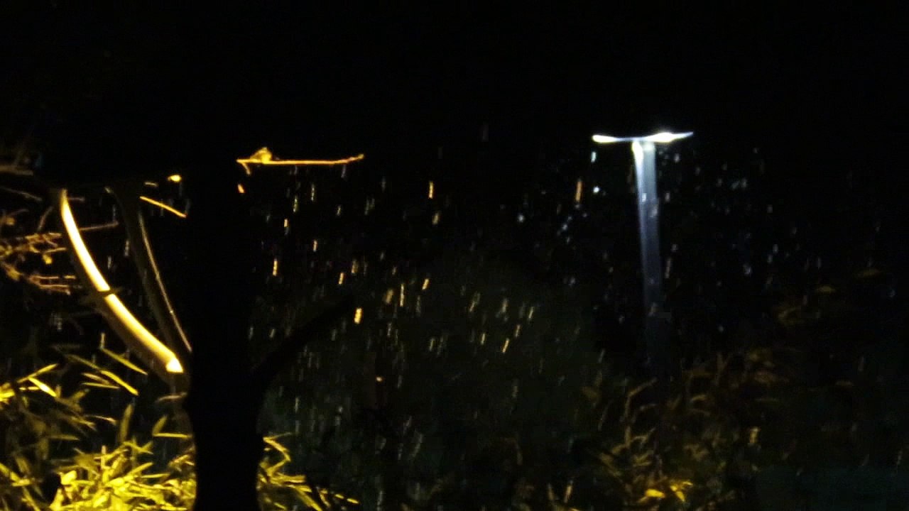 6h50 1er décembre 2017  1ère averse de neige de l'hiver à TRETS