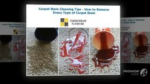 How to Remove Every Type of Carpet Stain | Carpet Stain Cleaning Tips
