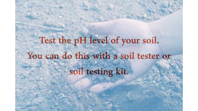 Agricultural Products in the Philippines - Tips for Picking a Fertilizer
