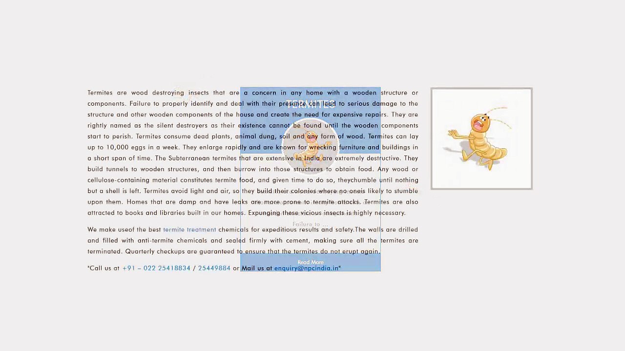 termites control mumbai