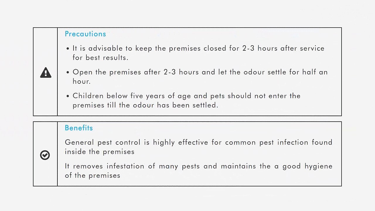 General Pest Control Service in Mumbai, Thane, Navi Mumbai