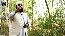 New Naat 2016 - Tasvire husne benisha- Khalid Hasnain Khalid - New Naat Album [2016] - YouTube
