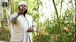 New Naat 2016 - Tasvire husne benisha- Khalid Hasnain Khalid - New Naat Album [2016] - YouTube