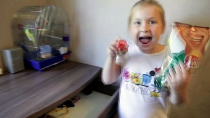 Johny Johny yes papa song & learn colors