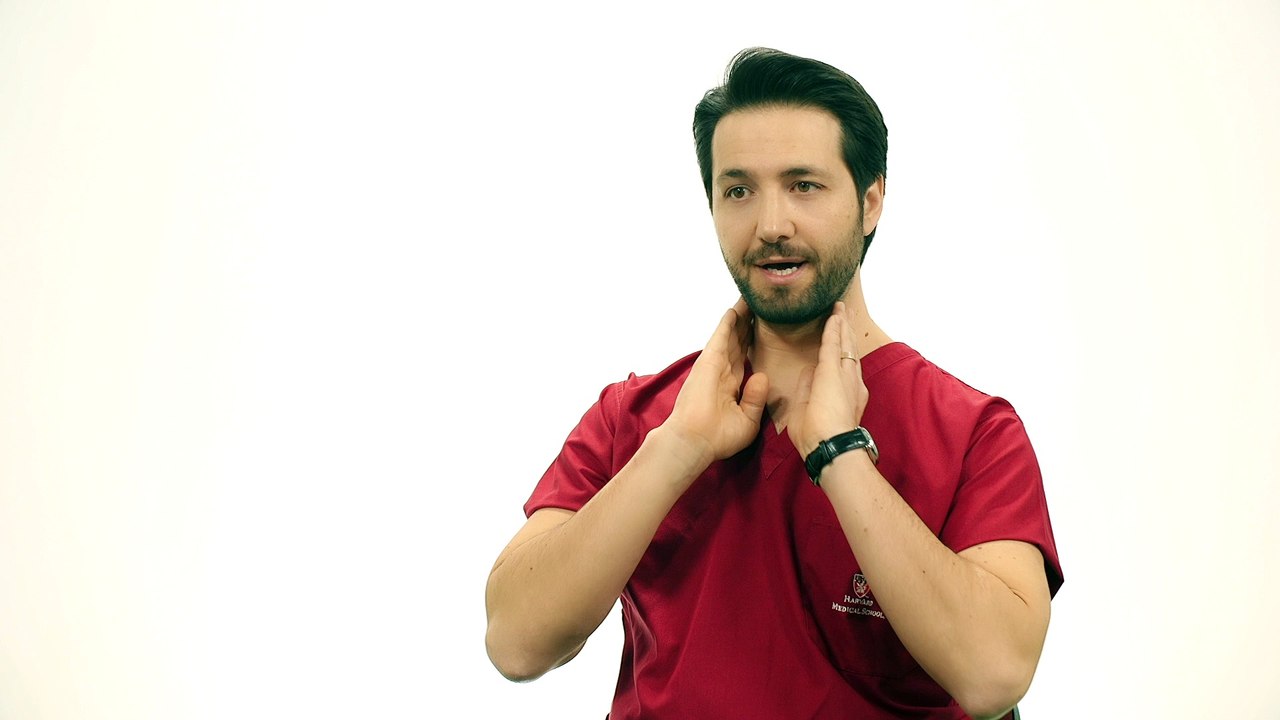 Yüz Germe Ameliyatı ile Birlikte Hangi Ameliyatlar Yapılabilir