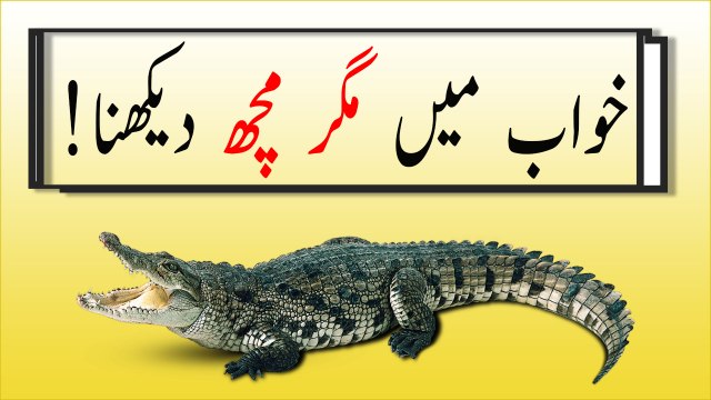 khwabon ki tabeer in urdu - khwab mein magarmach dekhny ki tabeer