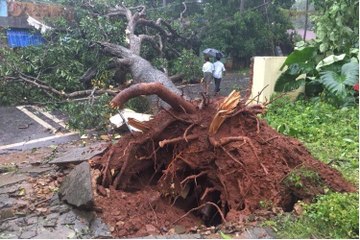 ವಿಡಿಯೋ, ಚಿತ್ರಗಳಲ್ಲಿ ನೋಡಿ 'ಓಖಿ' ಚಂಡಮಾರುತದ ಅವಾಂತರ | Oneindia Kannada