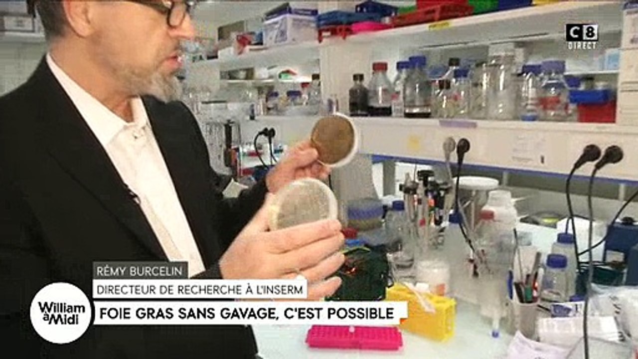 Des scientifiques inventent le foie gras sans gavage des oies - Regardez