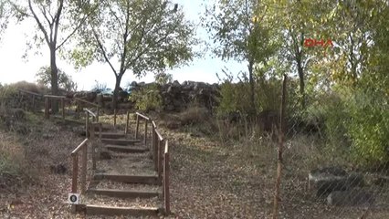 Gaziantep Karasu Çayı'nda Sonbahar Güzelliği