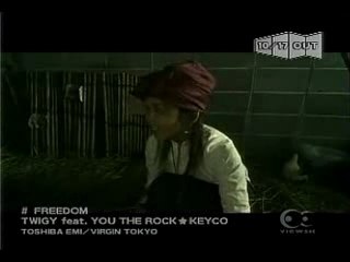 PV】TWIGY feat.YOU THE ROCK★,KEYCO - FREEDOM