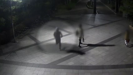 [단독] 괴한 초등학교서 흉기 난동...시민과 대치 '아찔' / YTN