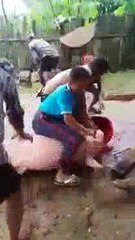 TỘI NGHIỆP QUÁ CÁC BẠN Ạ HÃY TẬP ĂN CHAY NHÉ A DI ĐÀ PHẬT