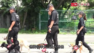 犬界「天堂路」！超萌狗寶寶如何變身帥氣警犬？