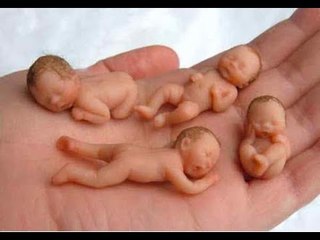 How_To_Get_Pregnant_Fast_2C_Safe__26_Naturally