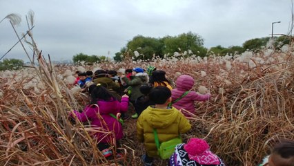 겨울방학 한강 생태 체험 46개 무료 운영 / YTN