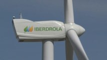 Iberdrola firma dos contratos de suministro de energía renovable con Google