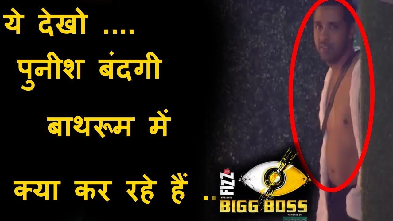 Review Bigg Boss 11 Puneesh Sharma and Bandagi caught doing in Bathroom in bigg boss house