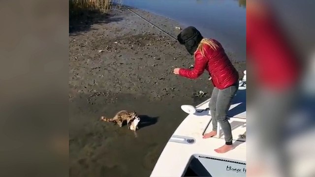 C'est plus facile de voler que de pêcher !