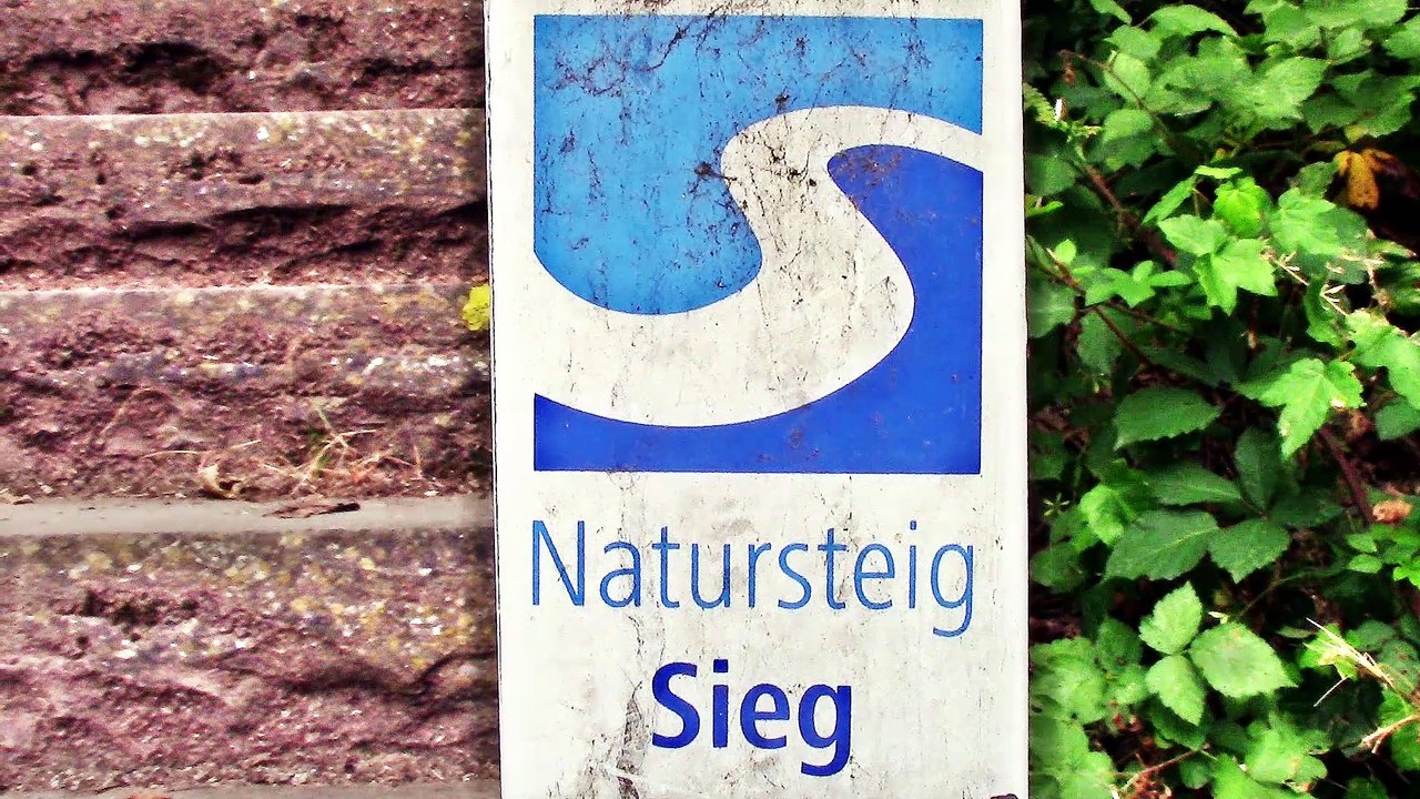 Auf großer Tour den Natursteig Sieg entlang – 03 – 1