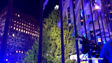 Rockefeller Christmas tree lit up for the season
