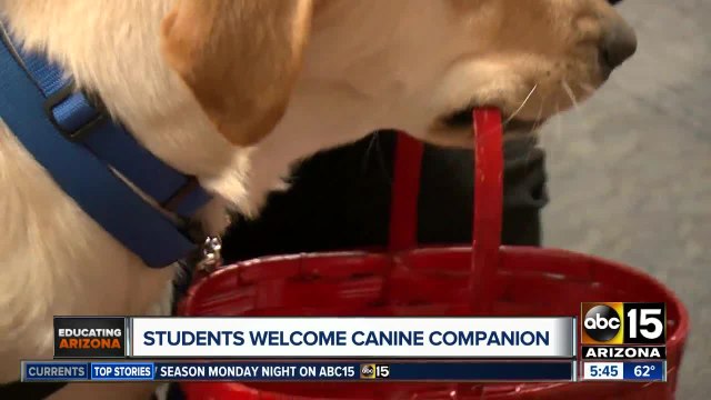 Arizona students welcome canine to classroom