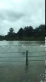 Il roule 20min sur une route.. inondée en Louisiane !!