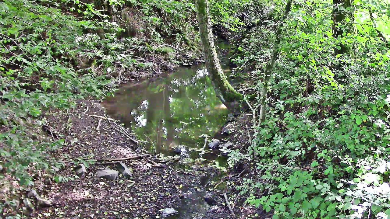 Auf großer Tour den Natursteig Sieg entlang – 03 – 2