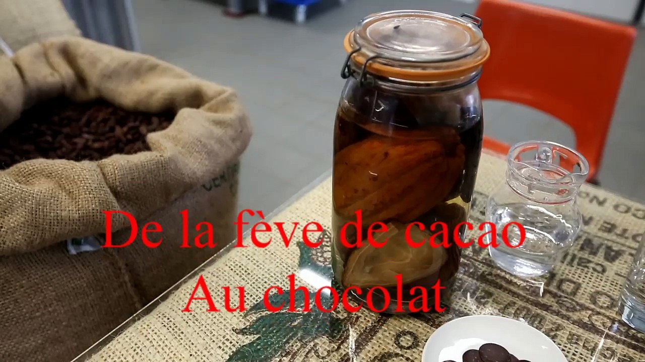 Lionneton se lance dans la fabrication du chocolat à partir de la fève de cacao