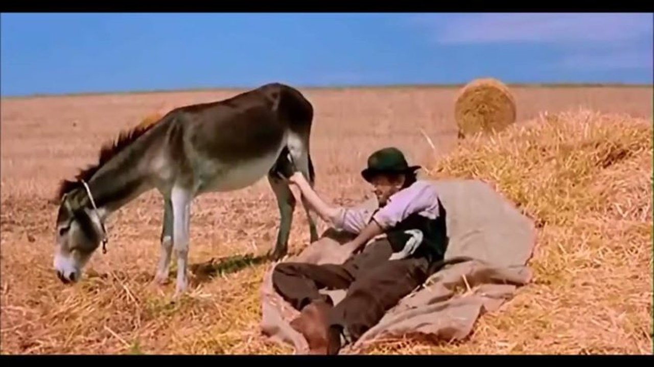 Donkey,s Clock How Is That Possible