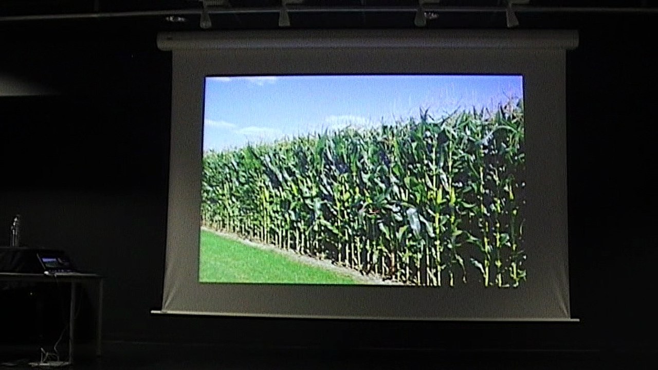La symbiose, une leçon d'évolution - 2/2 - Conférence de M. Selosse