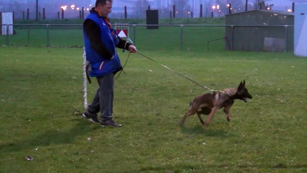 Navaro du Banc Des Hermelles