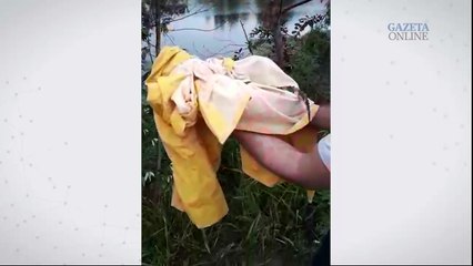 Jacaré do papo amarelo resgatado próximo a rua na Serra