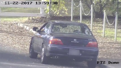 Blow Job fills up the turkey.