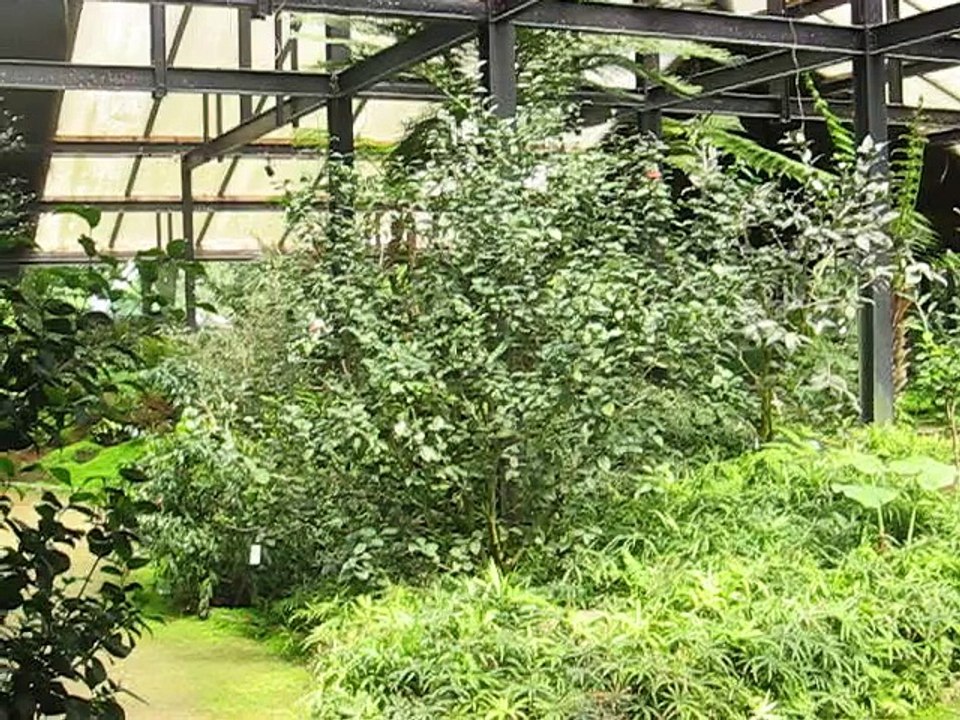 Vincennes-Parc Floral (3)