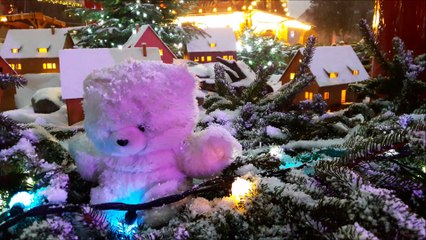 Féerie d'hiver de Saverne