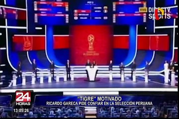Ricardo Gareca sobre sorteo del Mundial: "Me gusta el grupo, los rivales pueden amoldarse a nosotros"