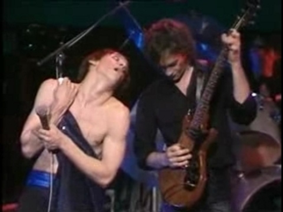 Iggy Pop & The Stooges - I Wanna Be Your Dog (Live Video 197